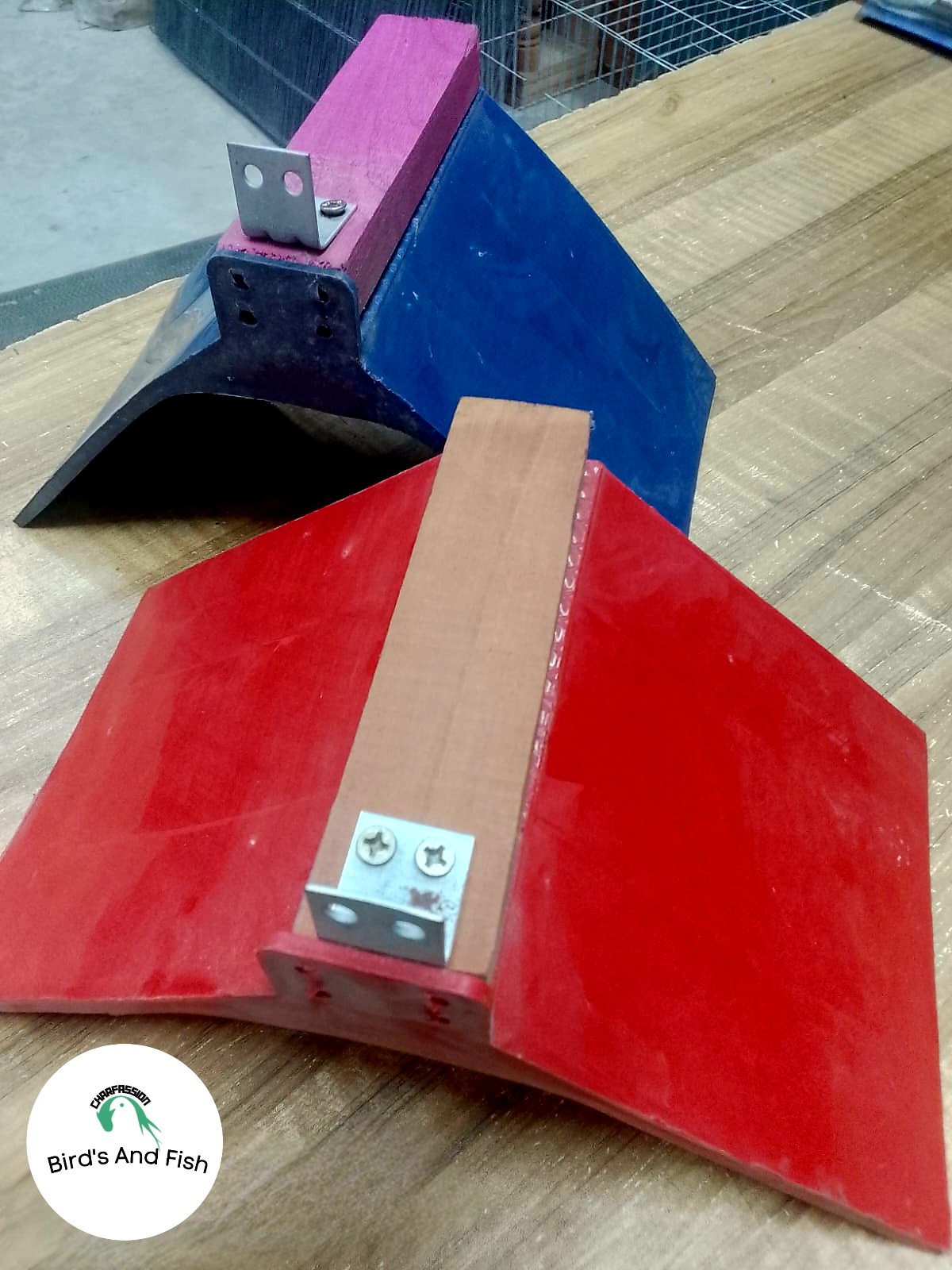 কবুতর দাড়ানোর স্টার্ন কাট সহ_img_1