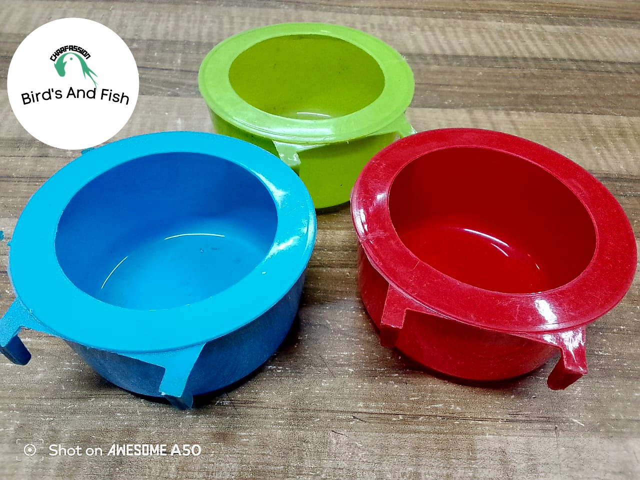 গোল কালার বাটি ২আংটা {রিং নাটি}_img_2