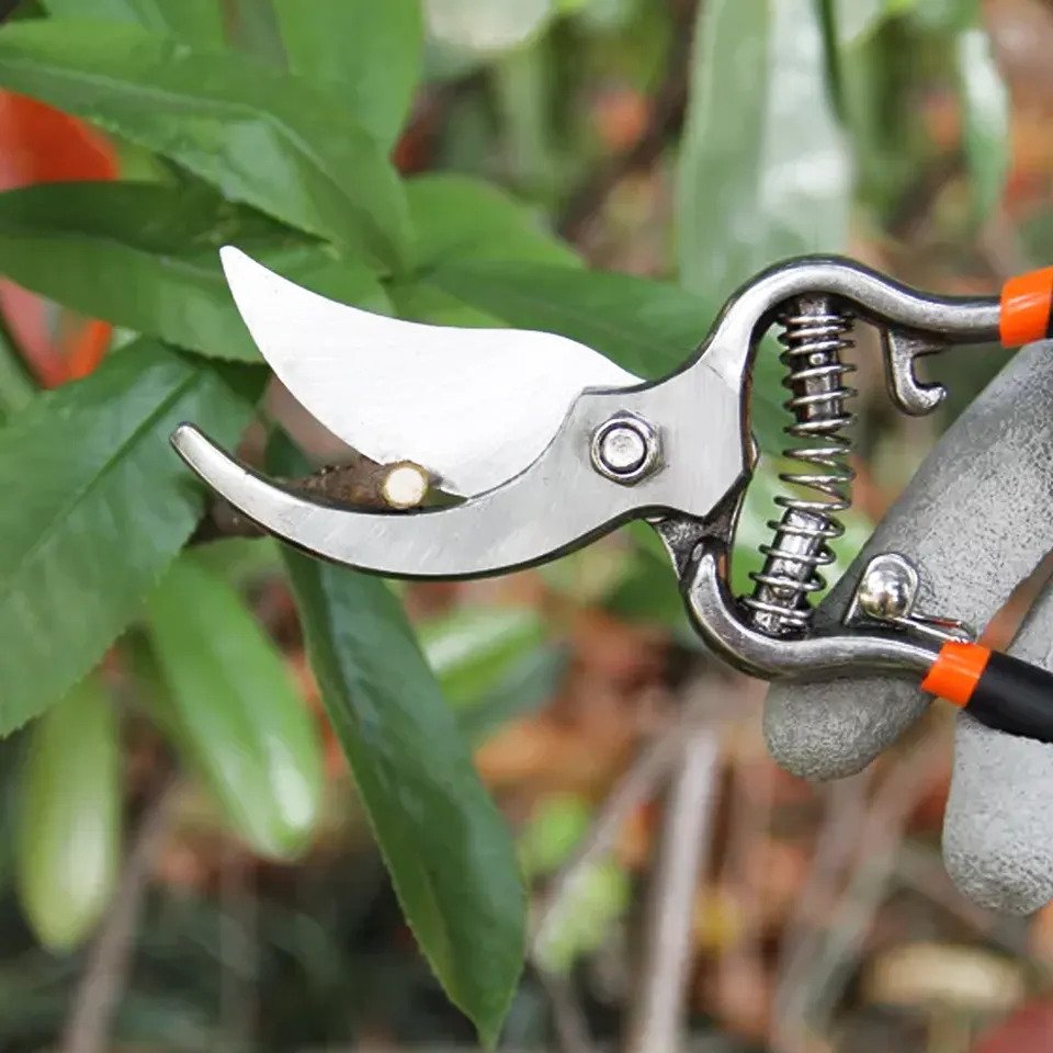 HARDEN 8" Garden Pruning Share Garden Pruner (bypass) orange 630401_img_4