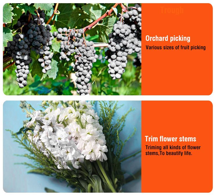 HARDEN 8" Garden By-Pass Pruner + Garden Anvil Pruner (200mm) 630403_img_8