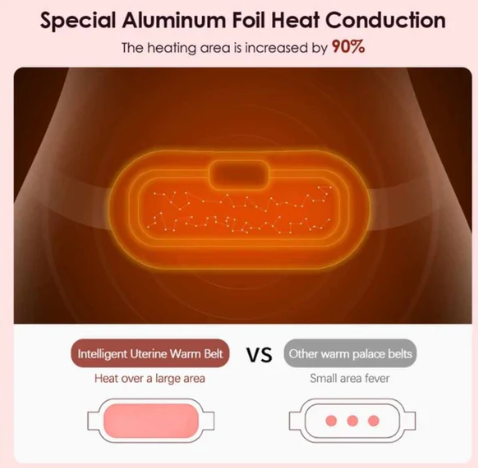 Smart Warm Palace Belt_img_3