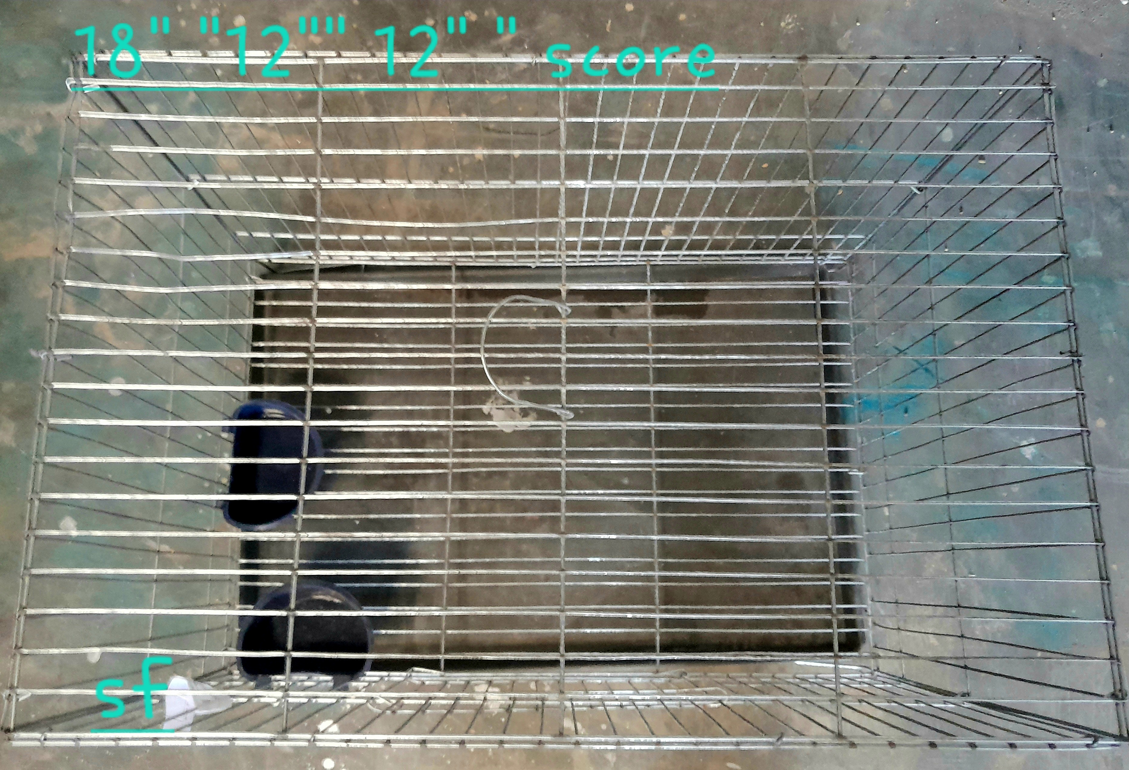 পাখির খাচা ১২*১৮_img_1