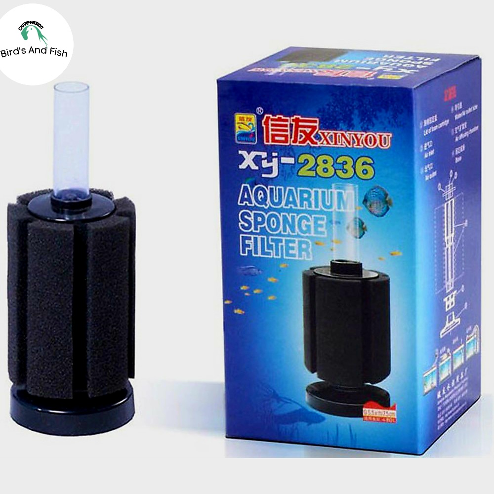 স্পনস ফিল্টার Xy 2836 Sponge Filter_img_1
