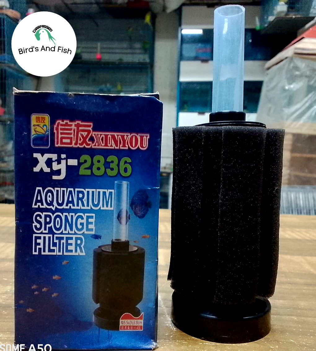 স্পনস ফিল্টার Xy 2836 Sponge Filter_img_2