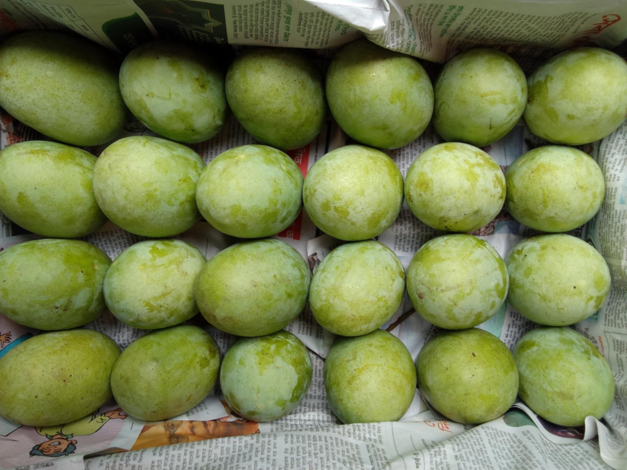 রাজশাহীর অর্গানিক ল্যাংড়া আম (Lengra Mango)_img_7