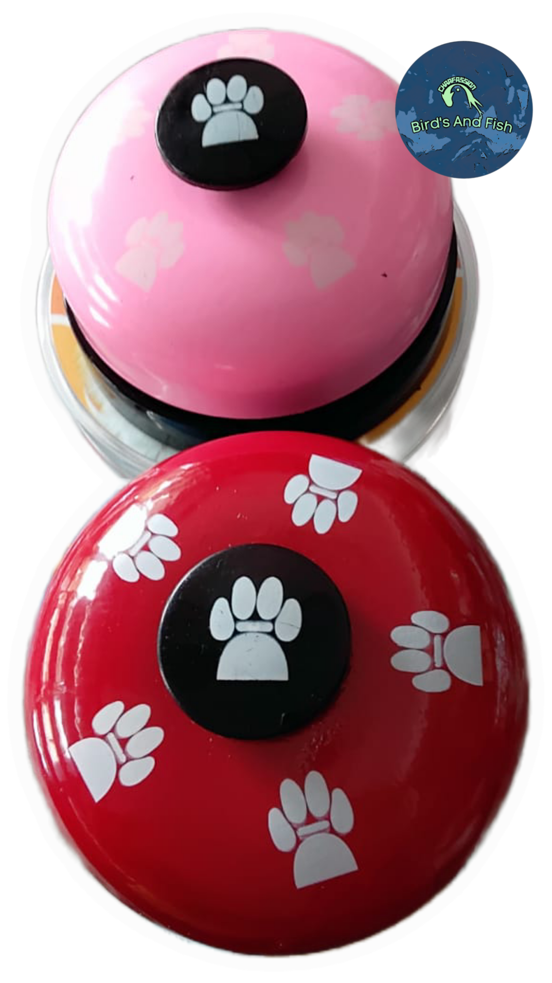 ক্যাট ট্রেনিং বেল cat training bell_img_2