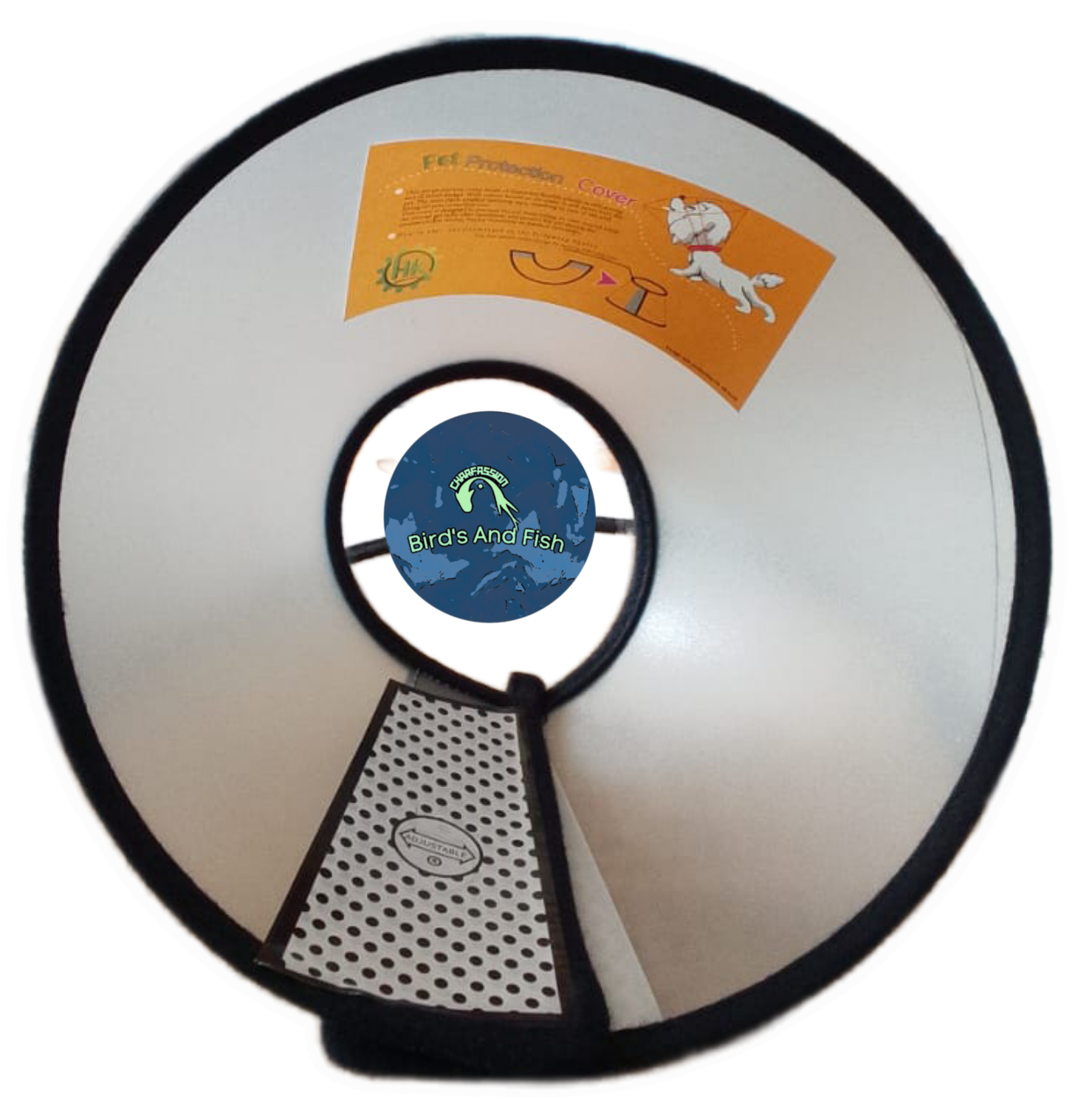 ই কলার_img_1