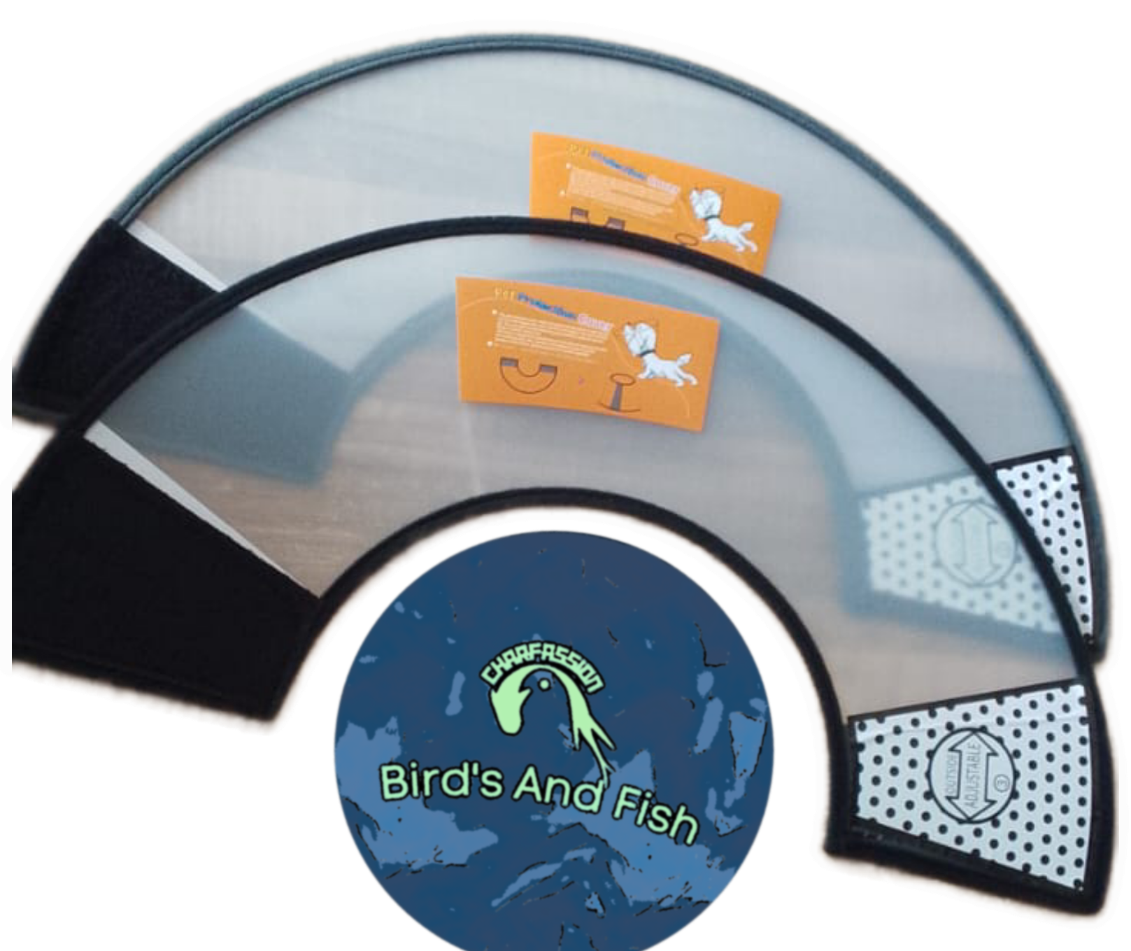 ই কলার_img_2