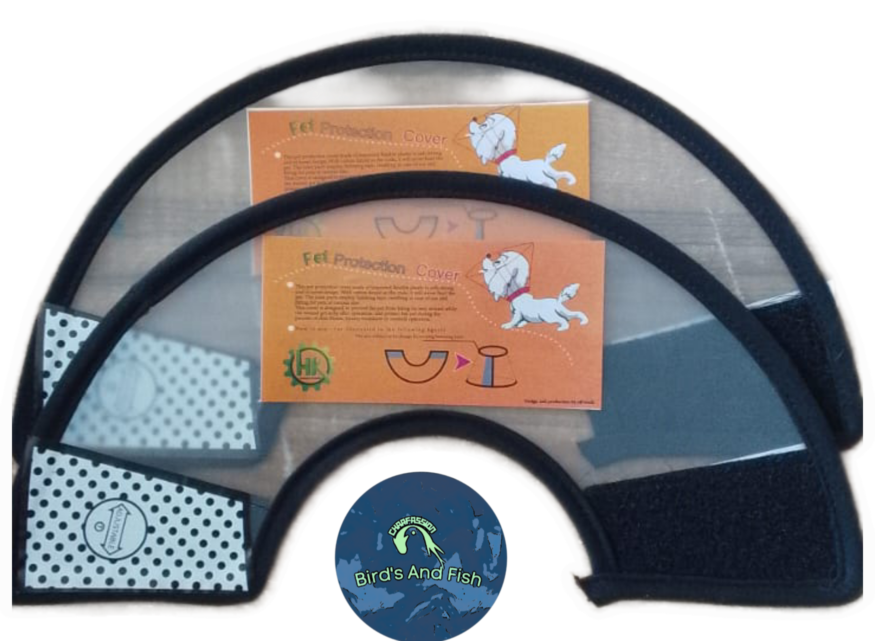 ই কলার_img_4