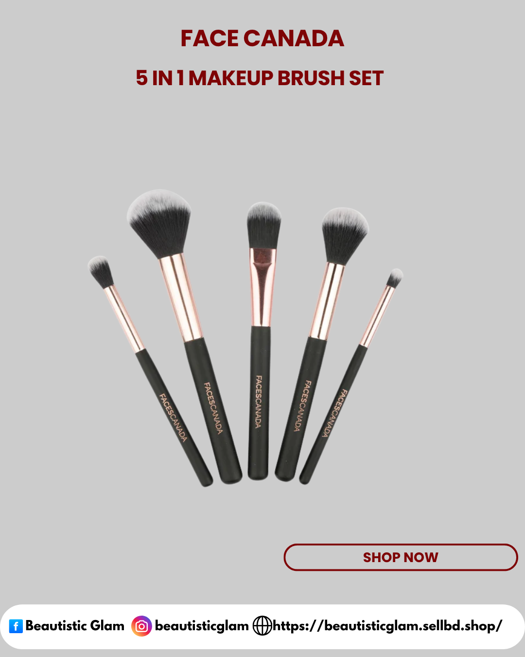 5 in 1 Makeup Brush Set