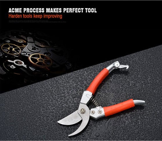 HARDEN 8" Fruit Shears, Garden Pruner With Zinc Alloy Handle Stainless Steel Professional Fruit Shears Trim Horticulture Stainless Steel Pruner Garden Scissor Tools Anvil Branch Shear Orchard Pruning Shears 630415_img_7