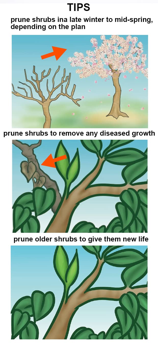 HARDEN 8" Garden Pruner, SK5 Steel Blade, 200mm, Designed to Cut 1.5 cm Diameter Wood, One-Handed Safety Lock; Model 630421_img_5