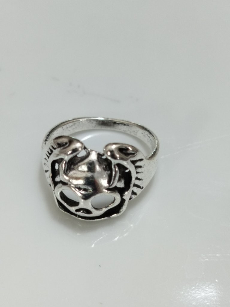 Skeleton Ring for Men & Women ( SMALL RING ) | Gothic Skull Design | Unique Punk Jewelry_img_48