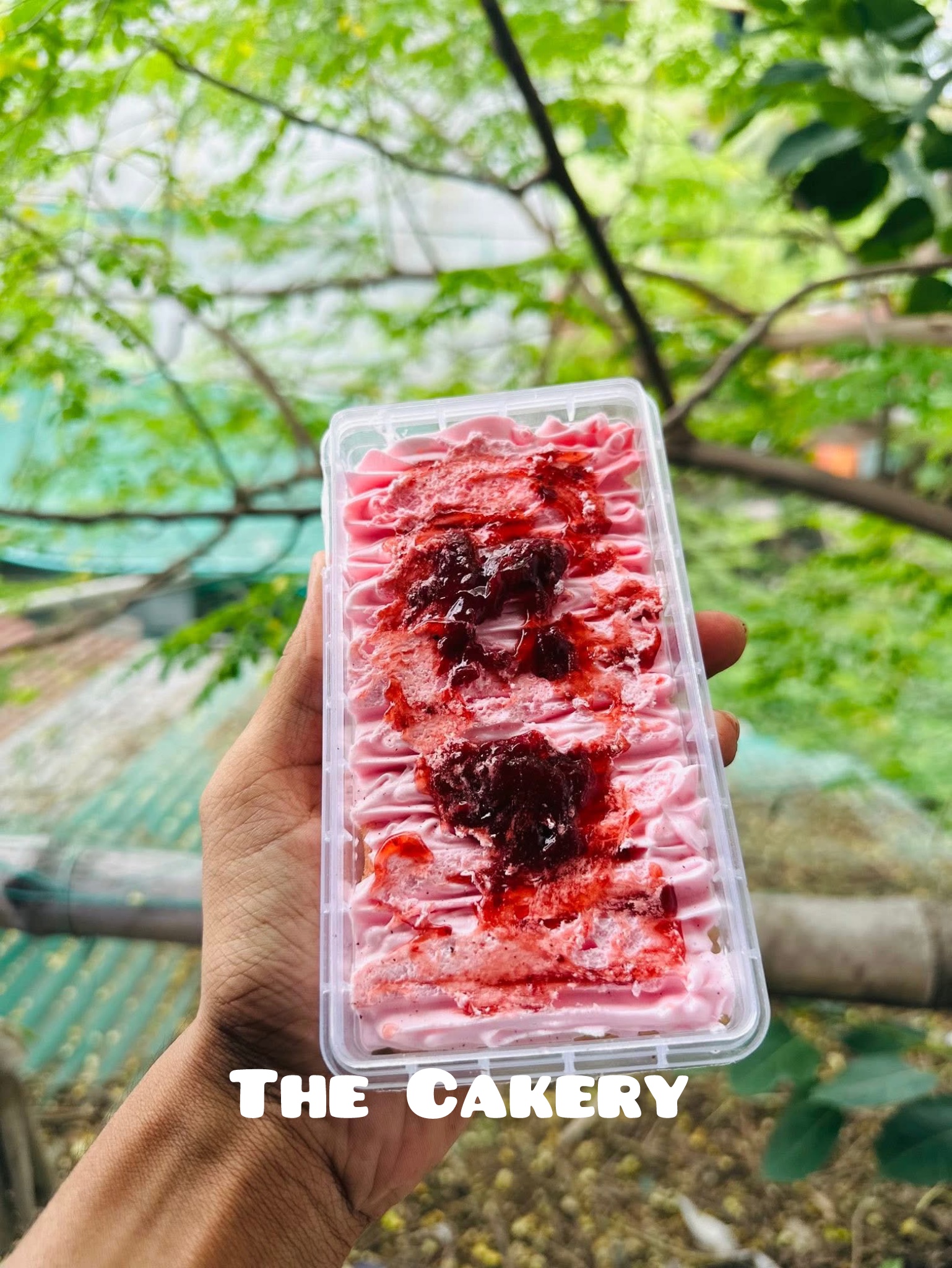 Strawberry Tub Cake_img_0