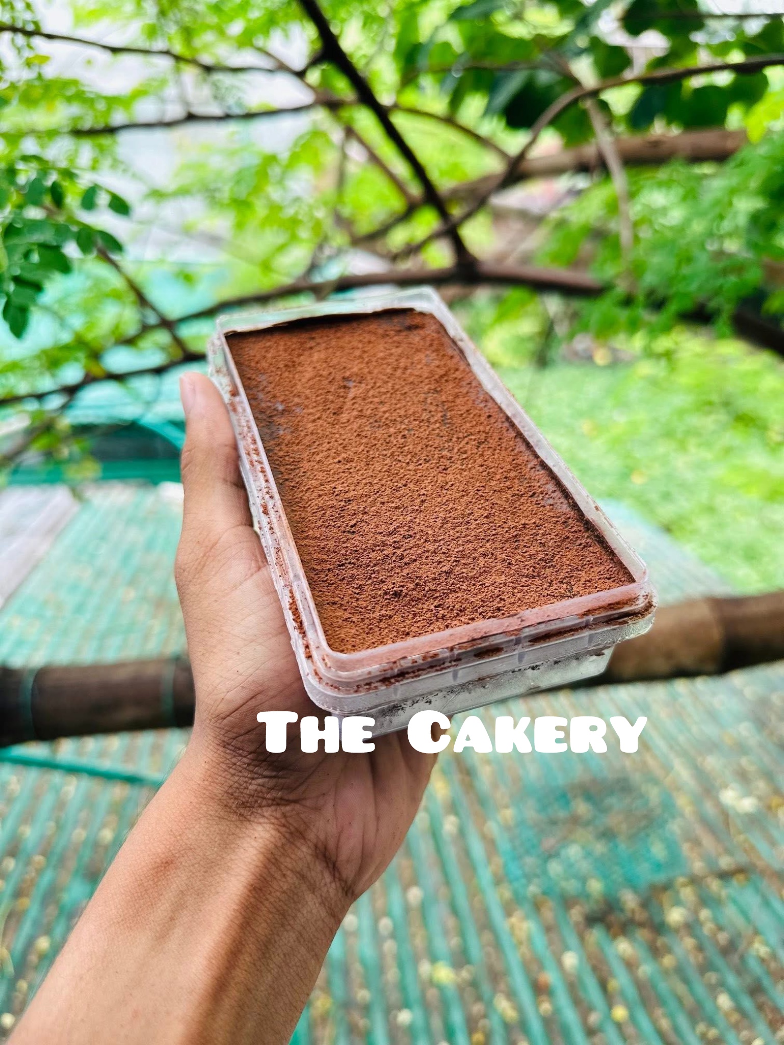 Dream Tub Cake_img_0