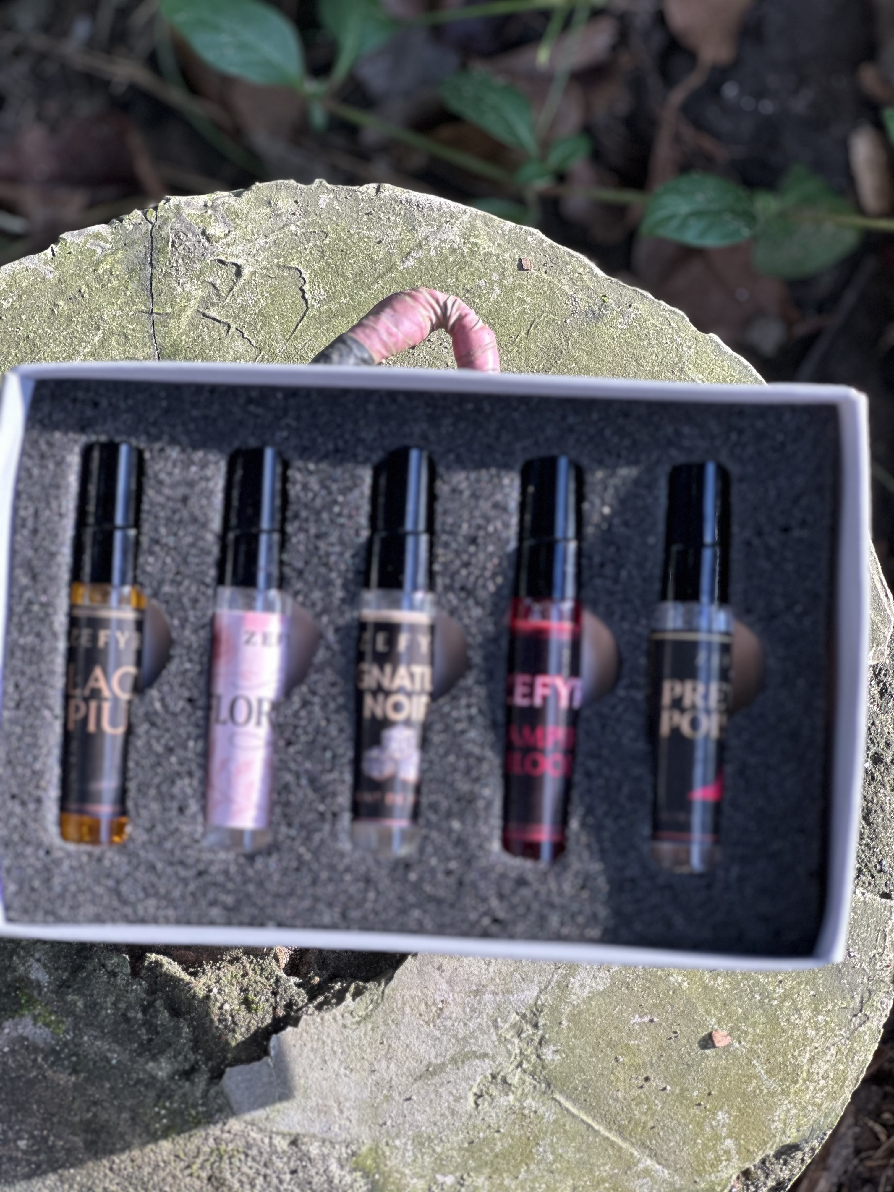 ZEFYR Female Combo Discovery Set – 5 Elegant Fragrances - Image 2