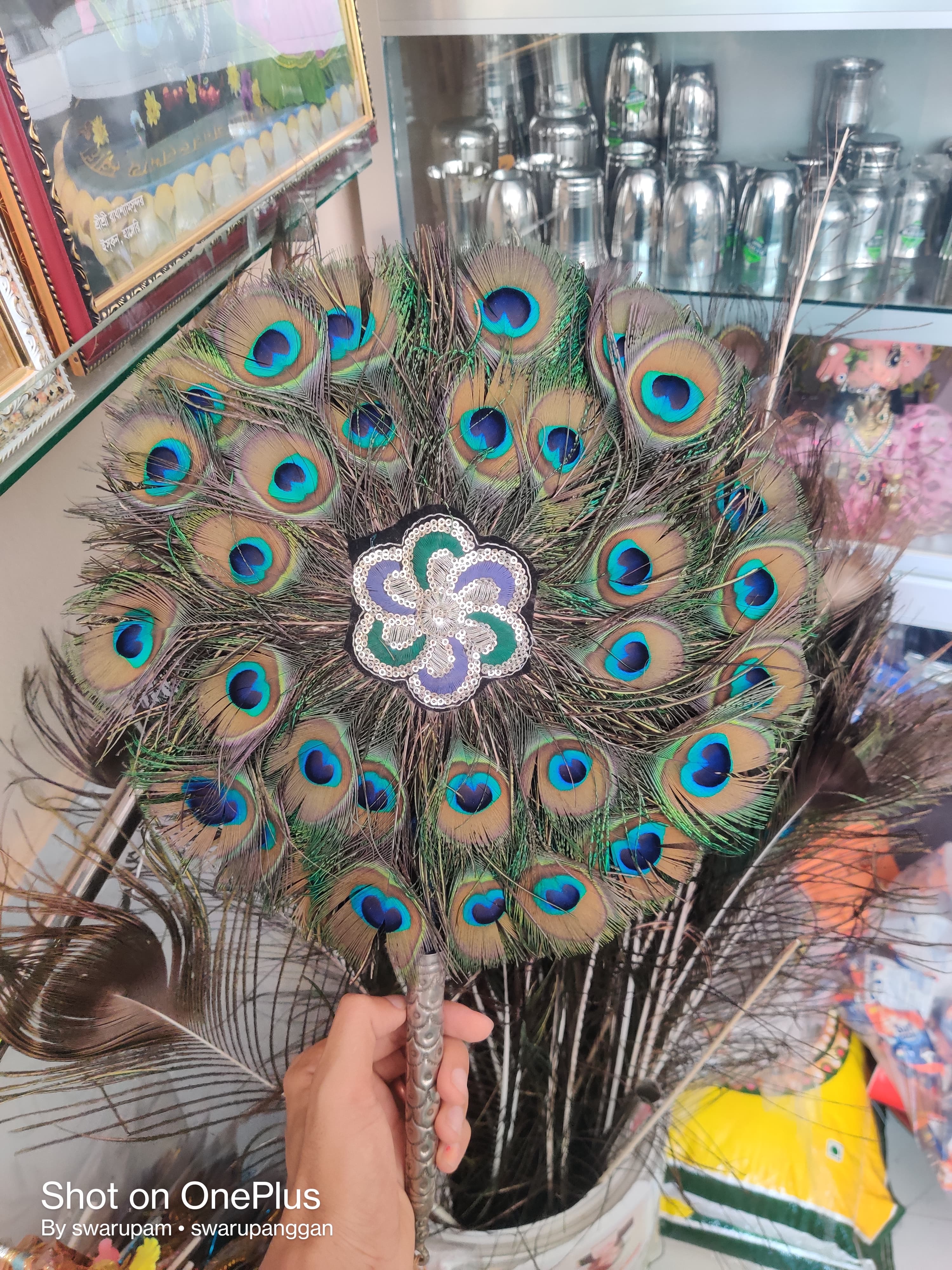 ময়ূর পাখা রেগুলার - Image 3