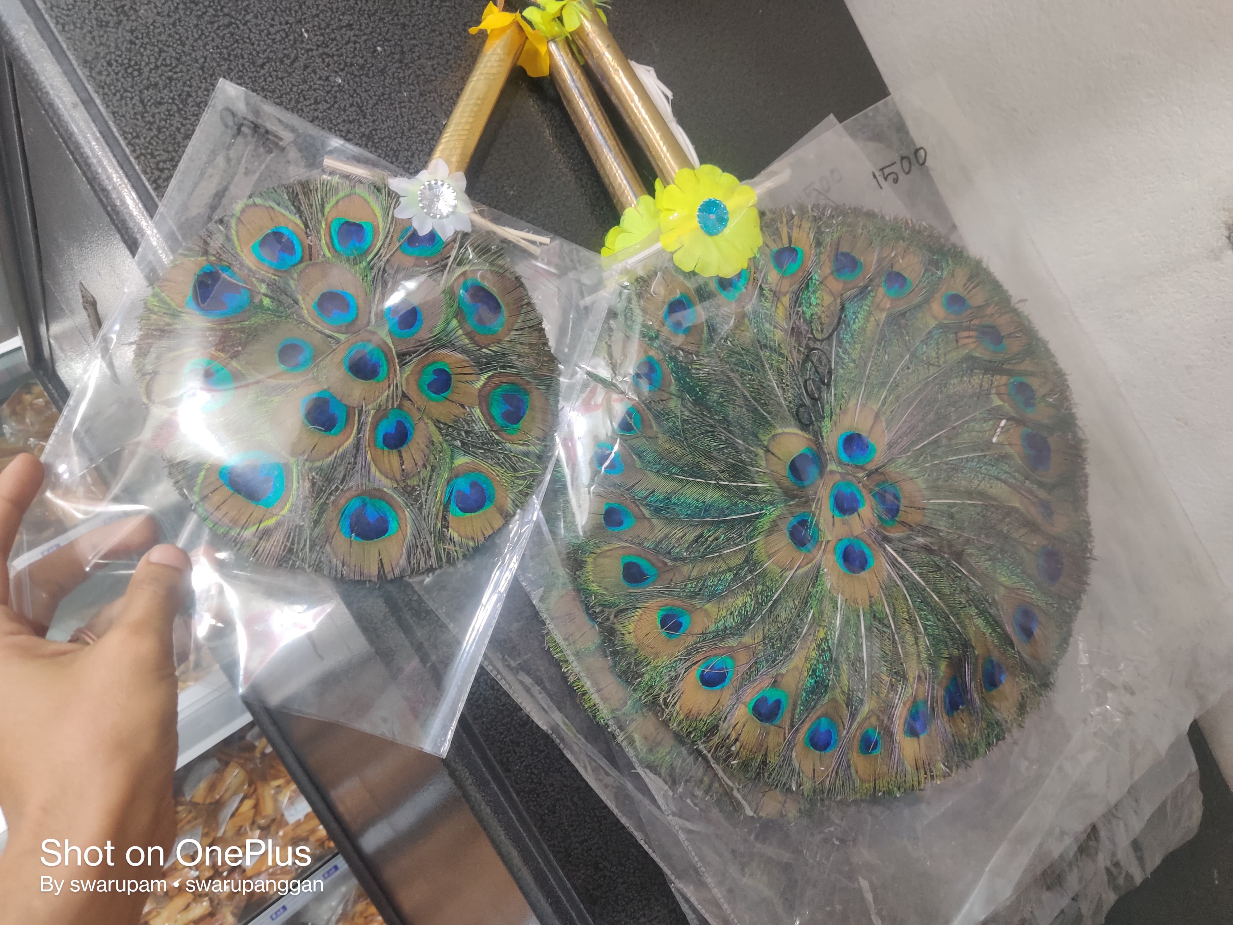 ময়ূর পাখা রেগুলার - Image 2