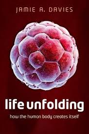 Life Unfolding: How the human body creates itself_img_0