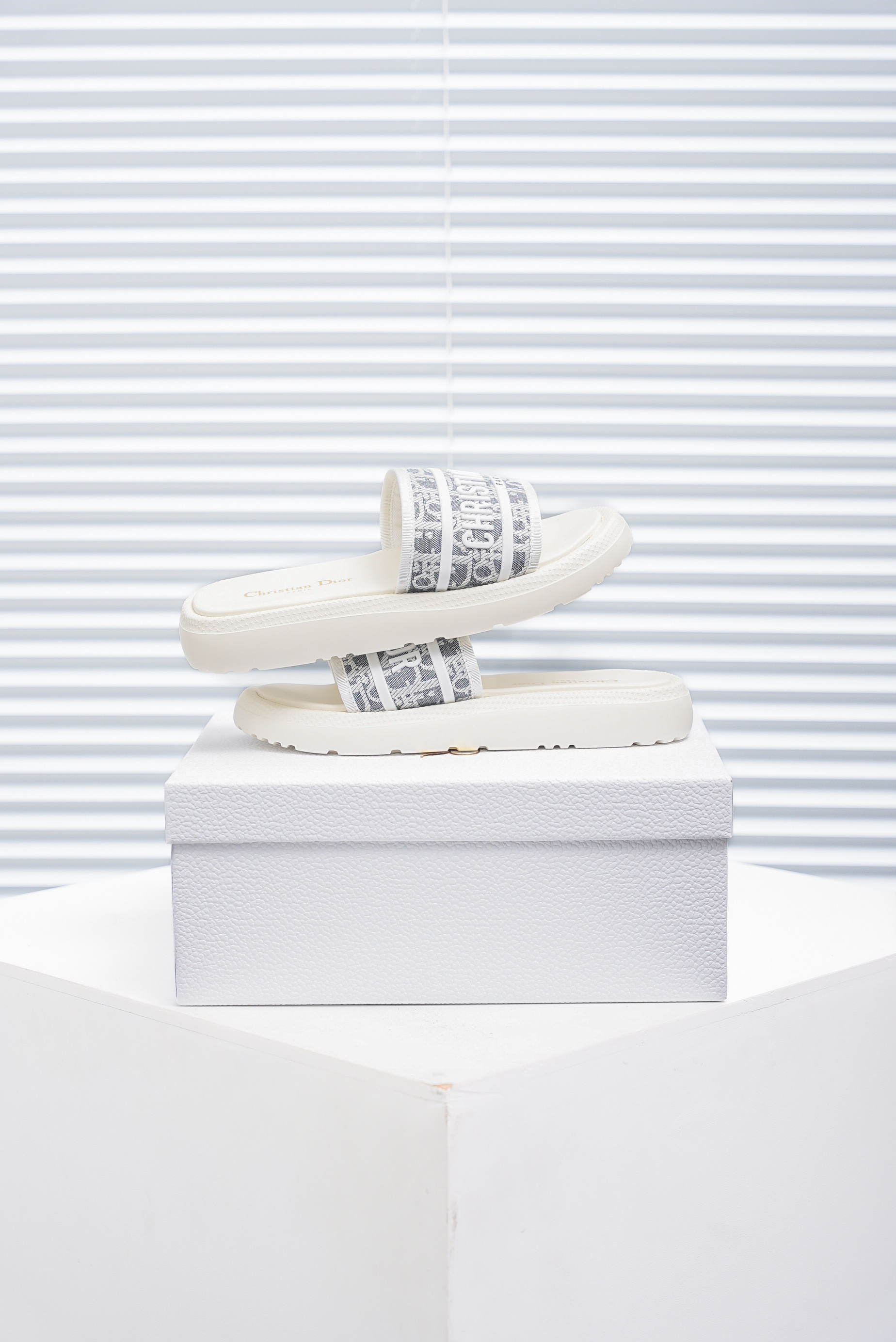 Christian Dior Dway Slide_img_1