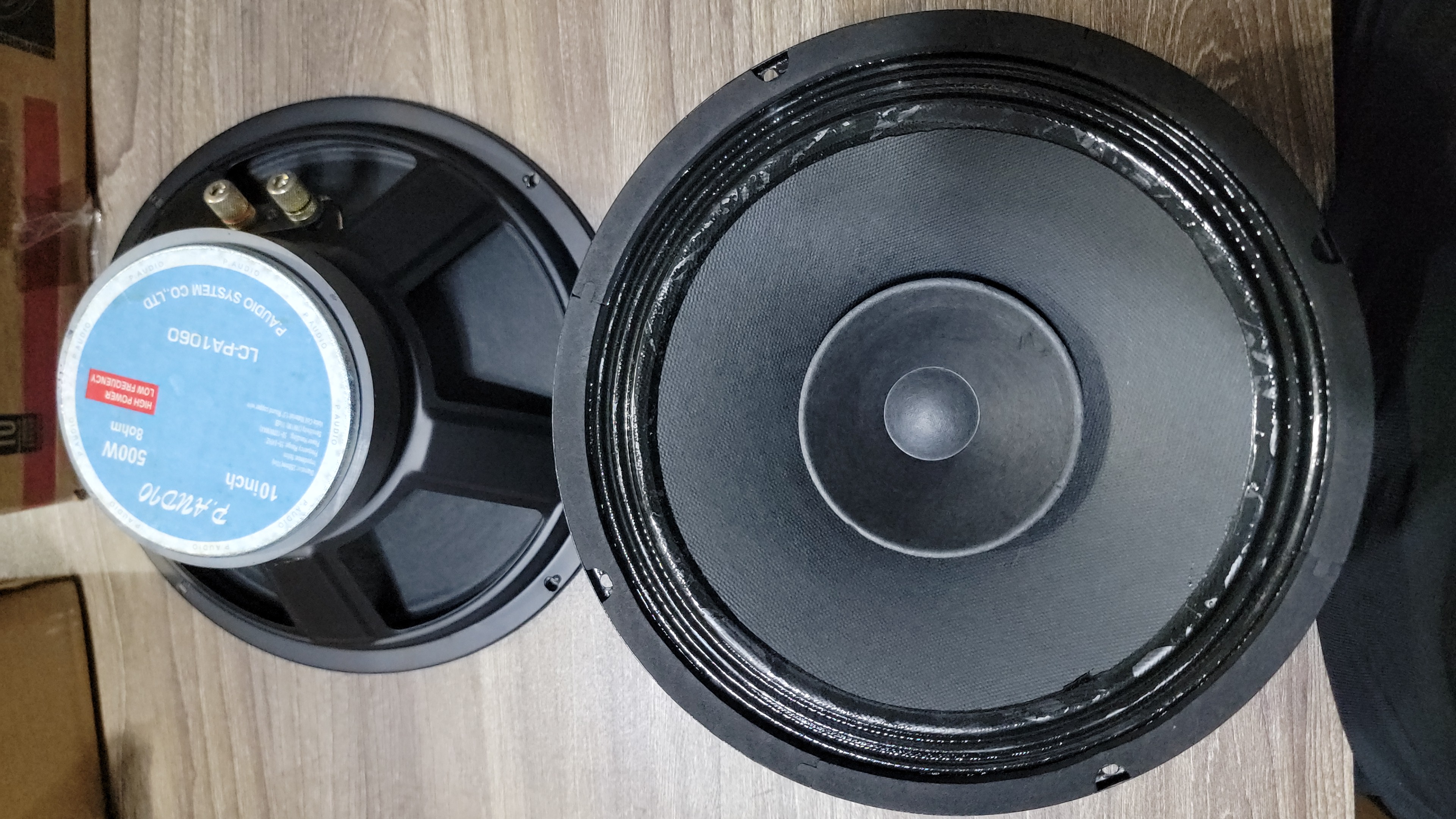 10" speaker_img_0