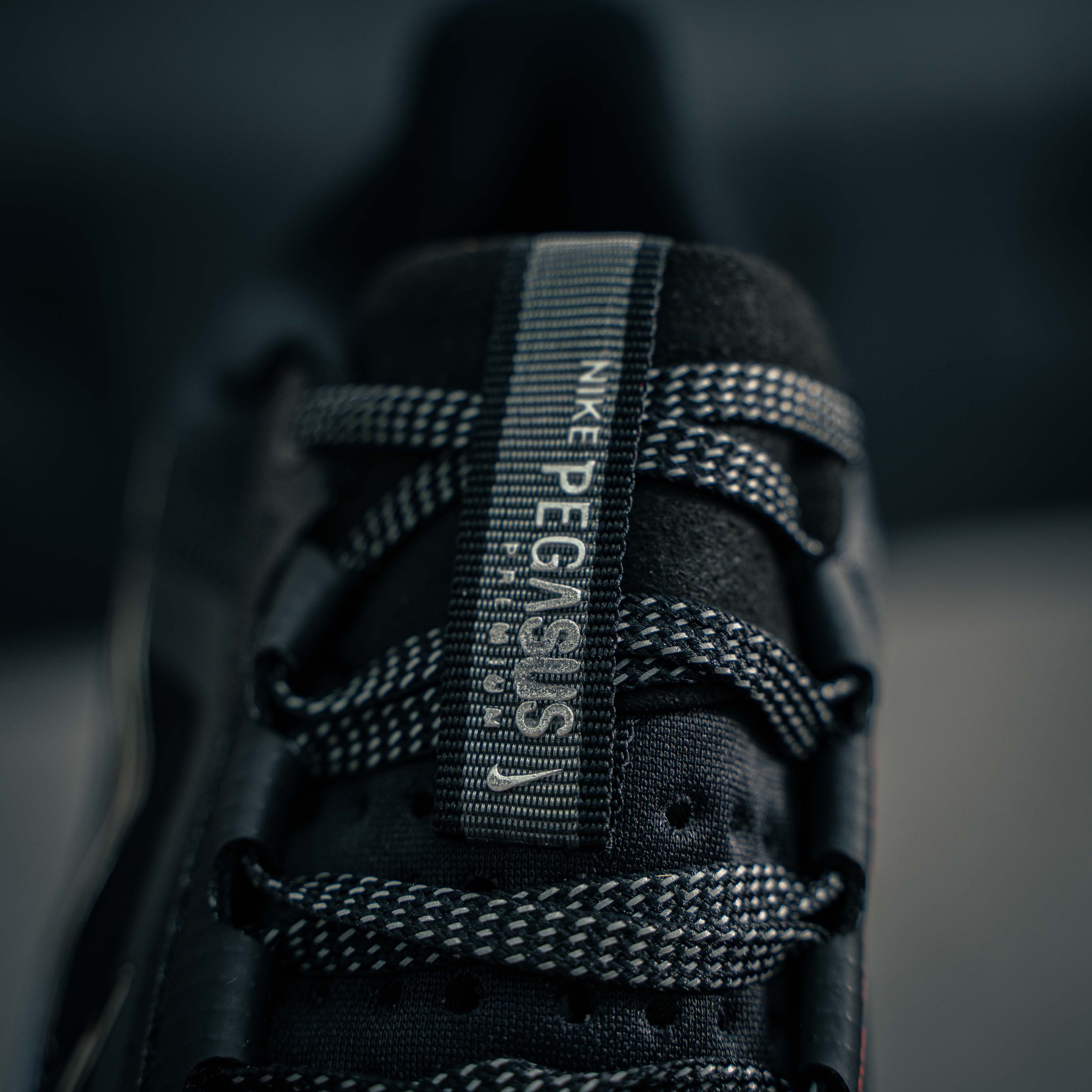 Nike Pegasus Premium (1:1)_img_5