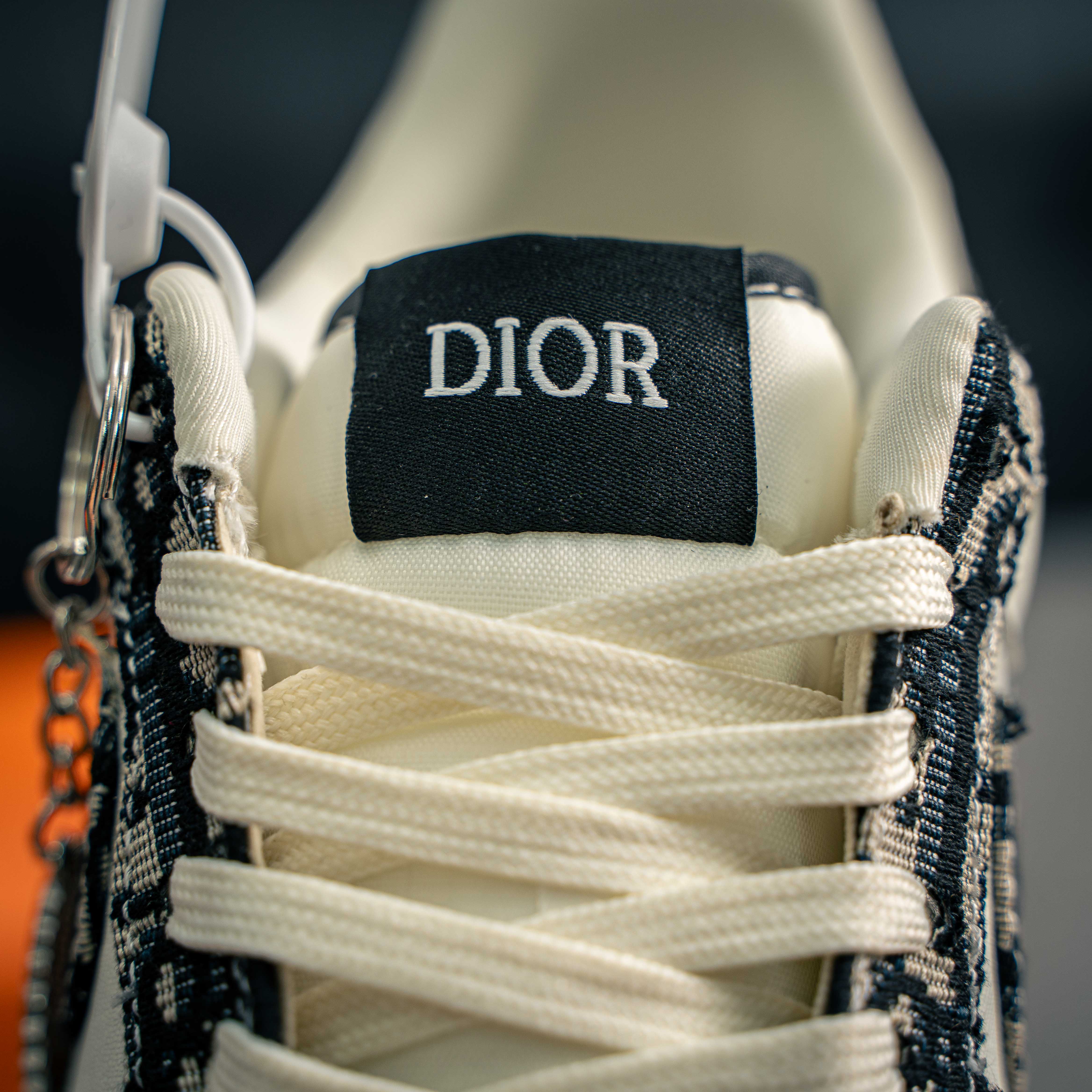 Nike Air Force  x  Dior_img_5