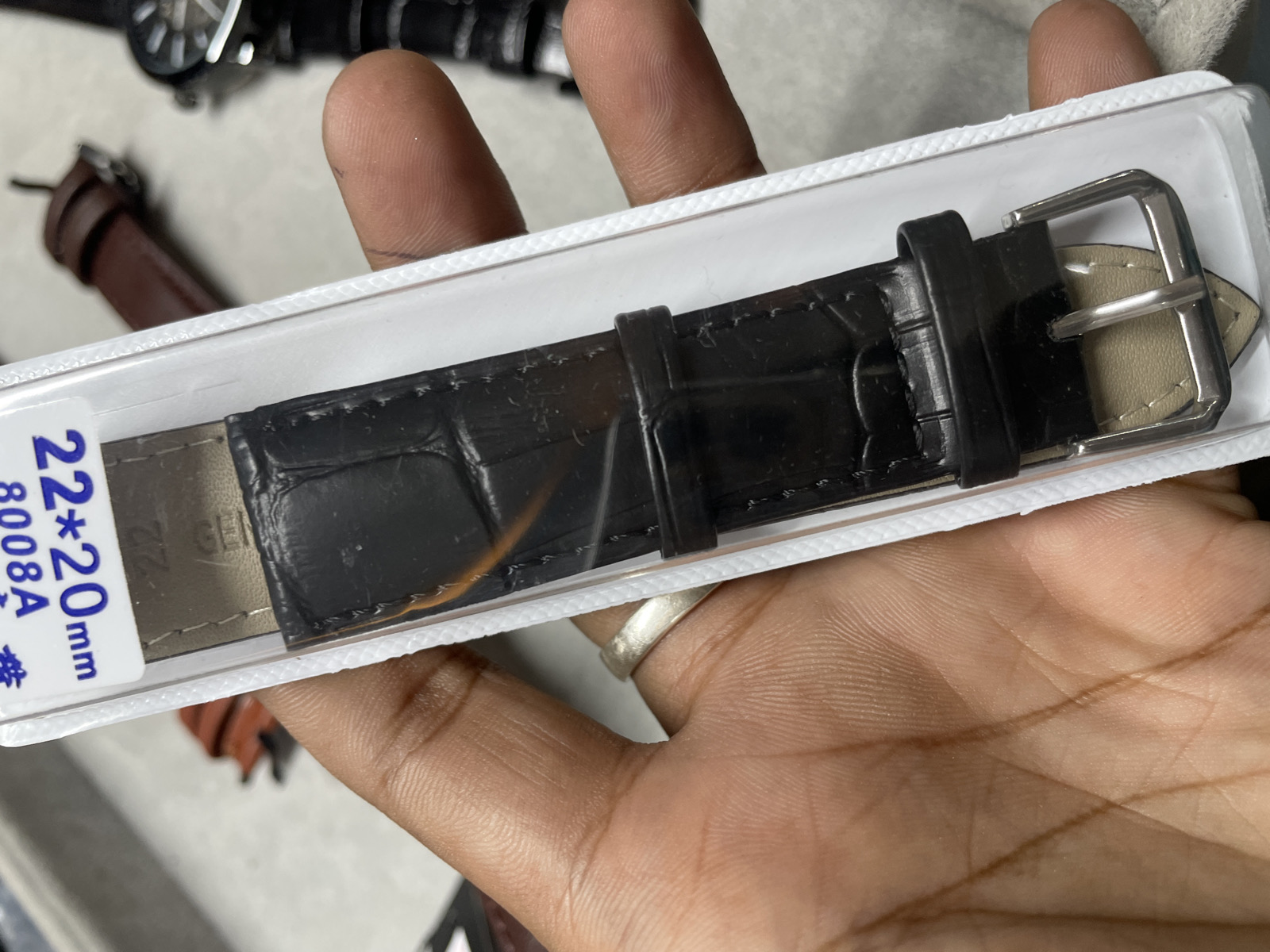 crocodile black belt