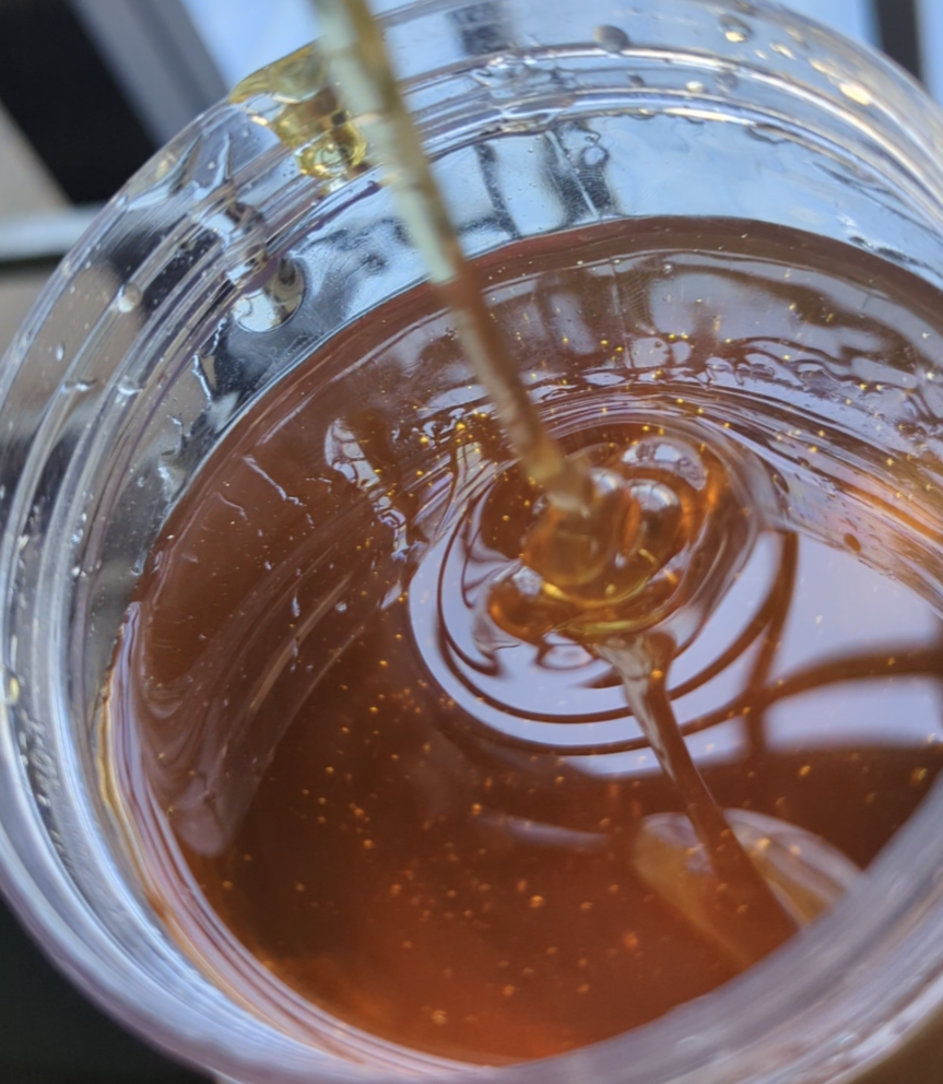 ন্যাচরাল মধু ১ কেজি - Natural Honey 1kg_img_1