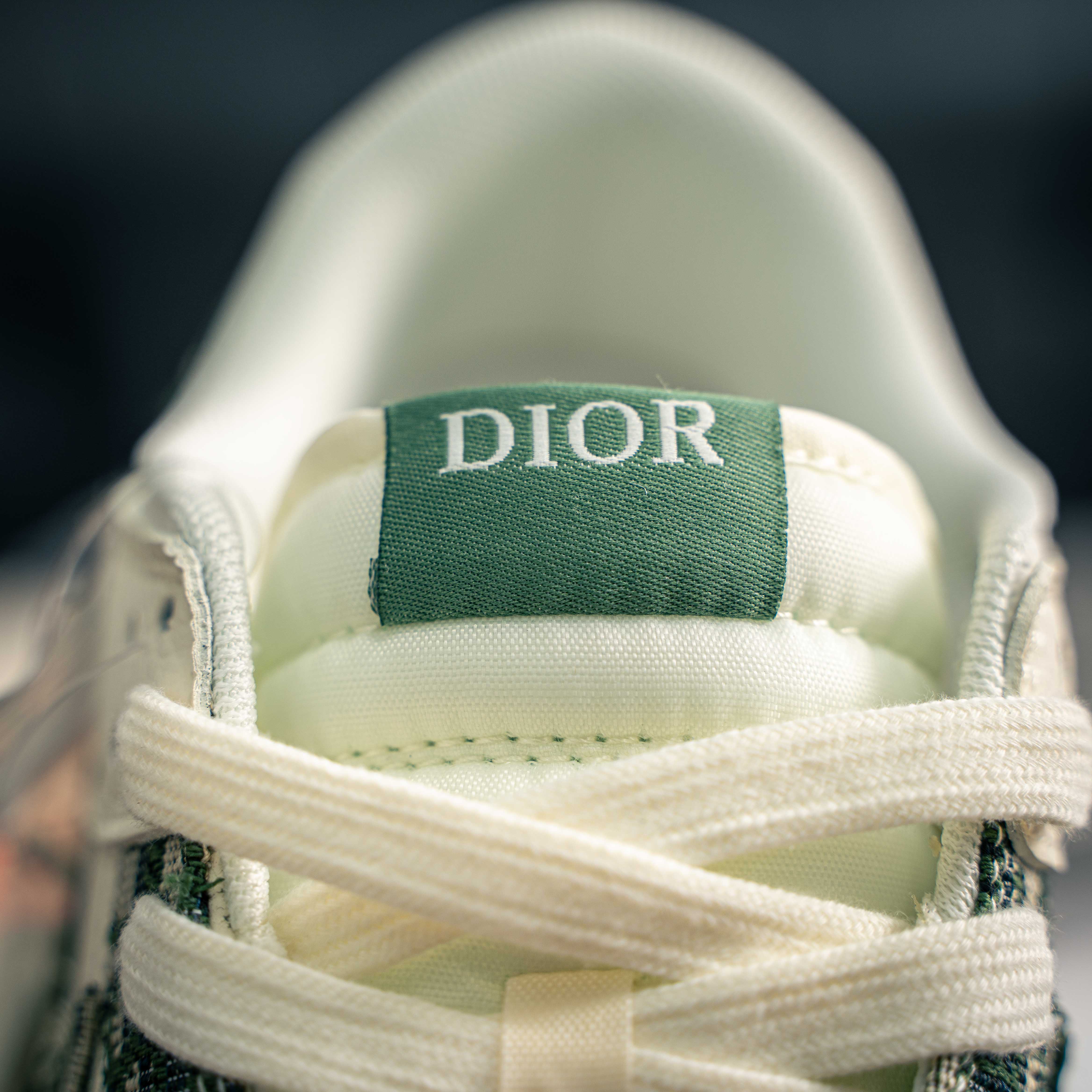 Nike SB Dunk Low x Dior  (1:1)_img_5