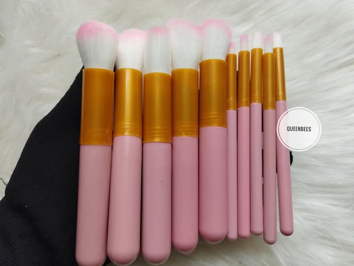 Make up Brush set
