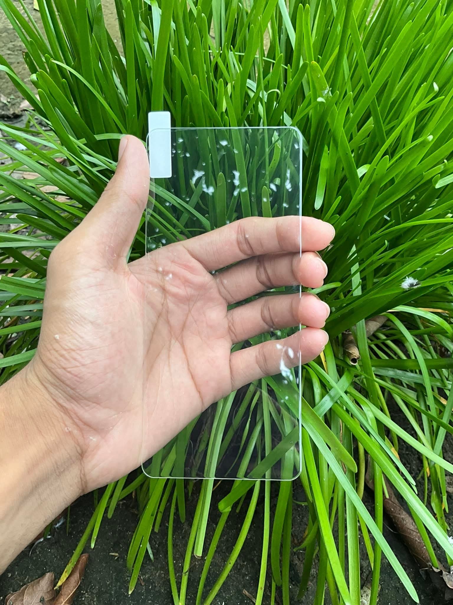 IQOO Neo9 Fully transparent electroplated tempered glass screen protector_img_0