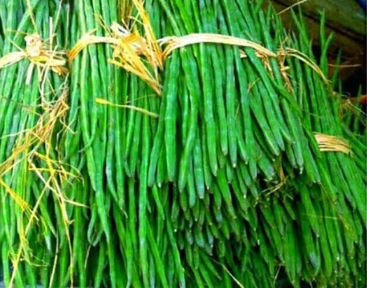 দেশি সাজনা