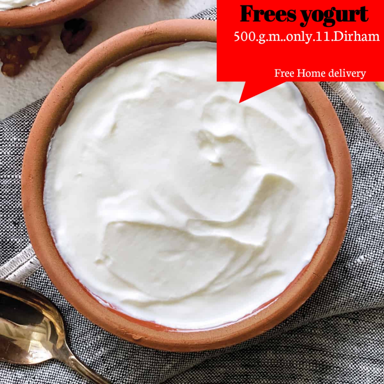 Cow Milk Yohgurt / Curd_img_1