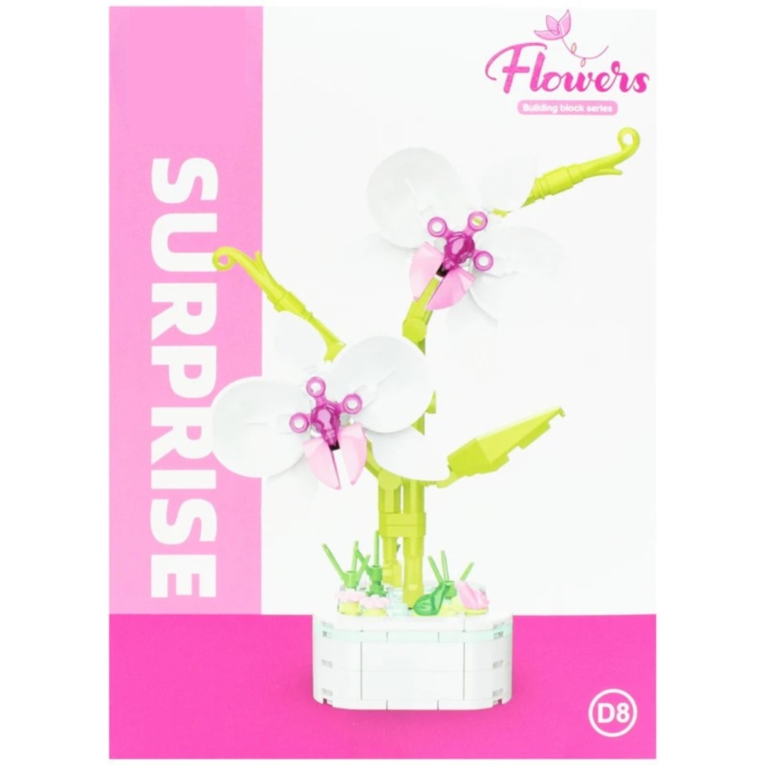 Phalaenopsis Potted_img_2