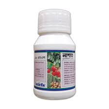 নাশাত । Nashat_img_0