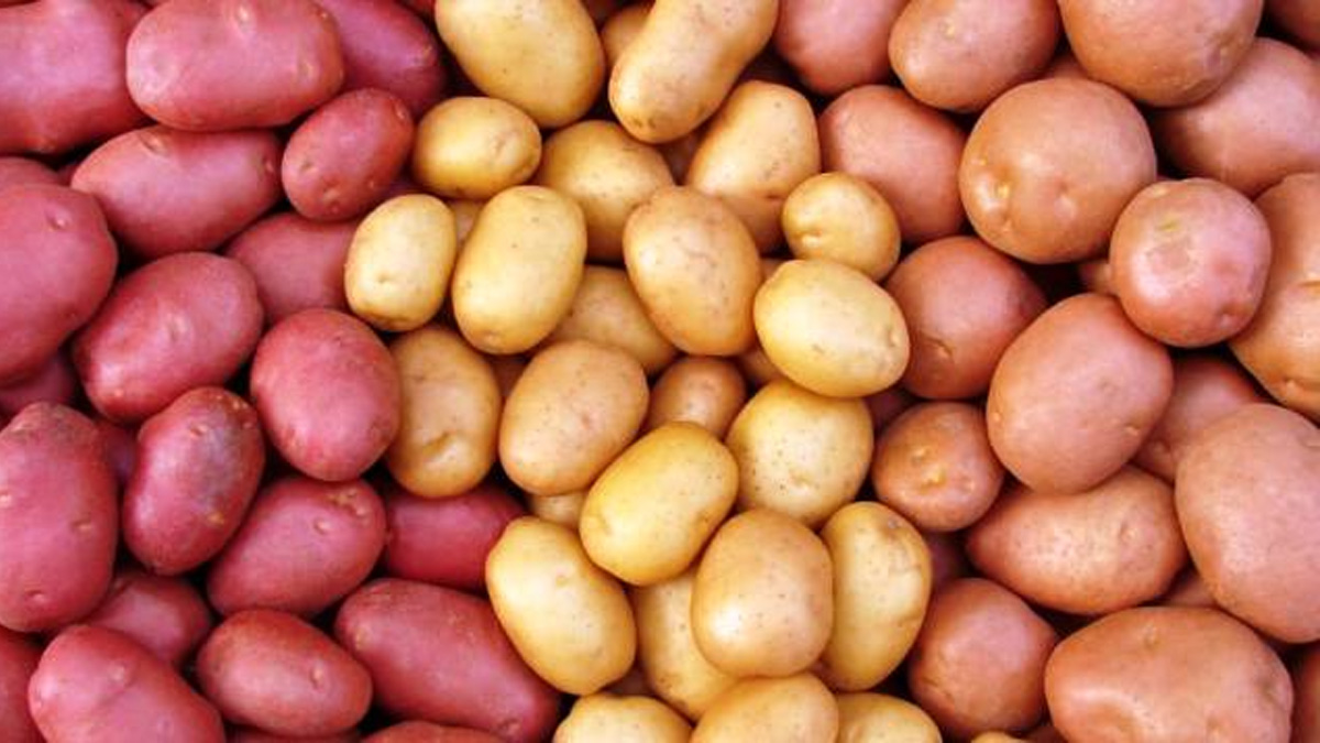 আলু প্রতি কেজি