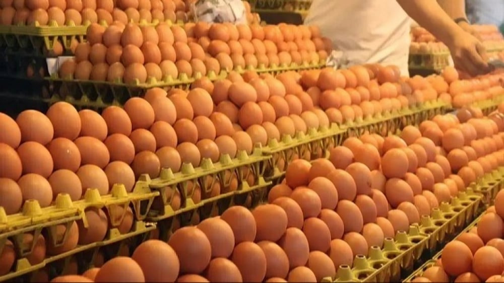 ফার্ম মুরগির ডিম