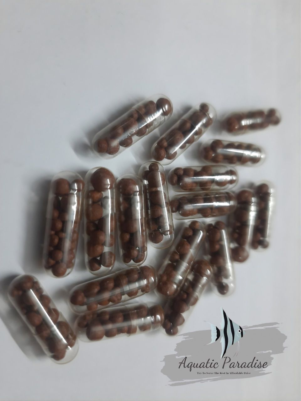 Dr. Tank Ground Fertilizer Capsule_img_1