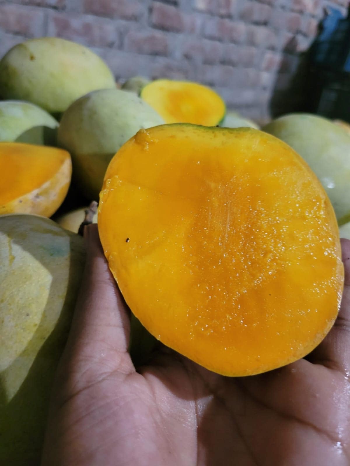 বারি ৪ আম ( Bari 4 Mango)_img_3