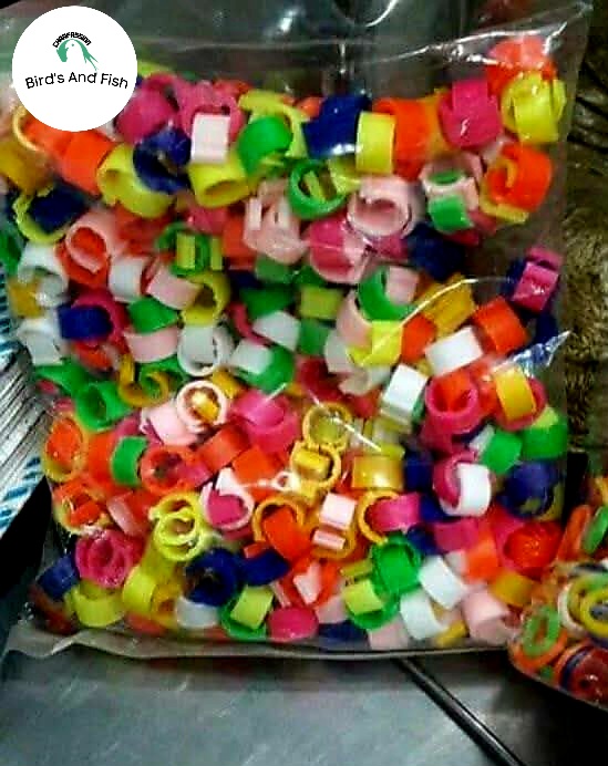 বাংলা ক্লিপ ট্যাগ নাম্বার ছাড়া প্যাকেট