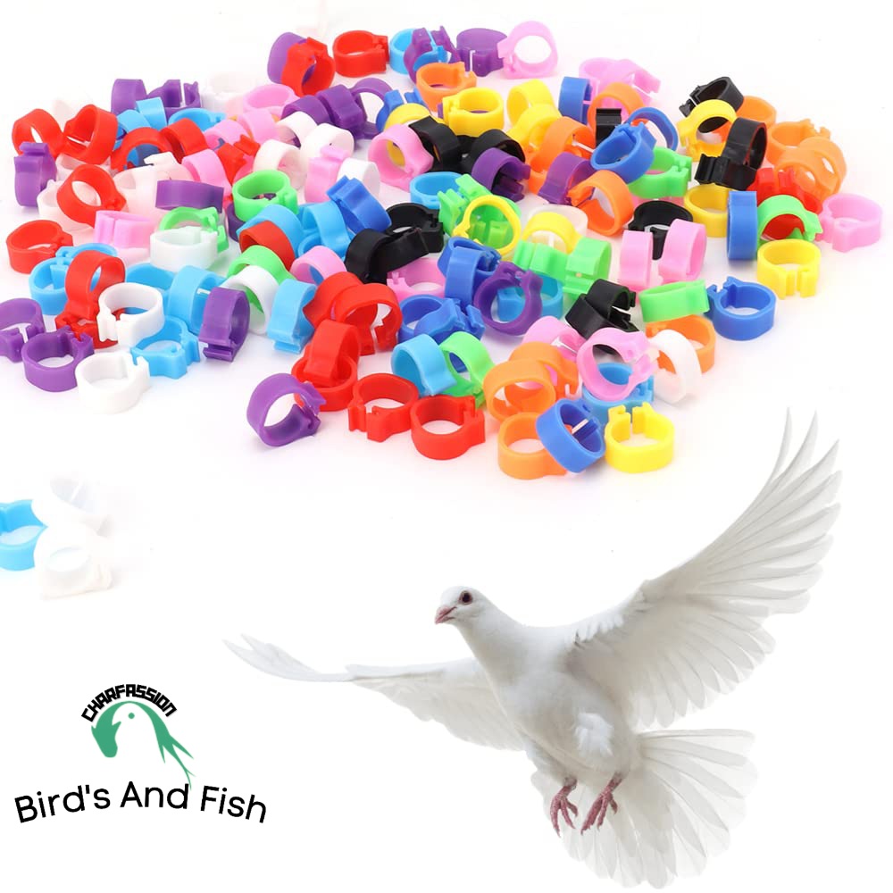 বাংলা ক্লিপ ট্যাগ নাম্বার ছাড়া প্যাকেট_img_1