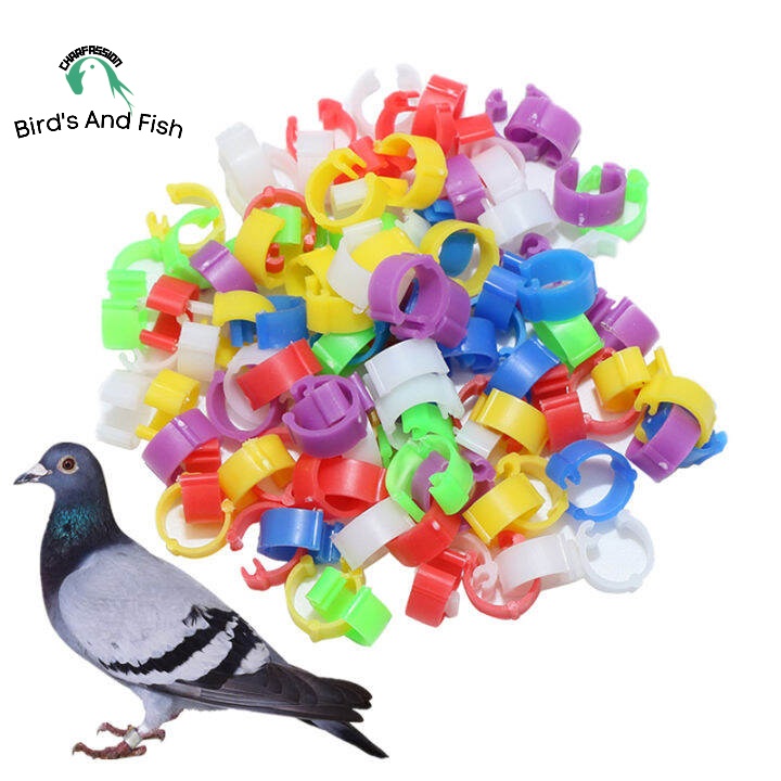 বাংলা ক্লিপ ট্যাগ নাম্বার ছাড়া প্যাকেট_img_2