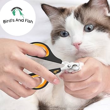 নেইল কাটার বিড়ালের কুকুরের