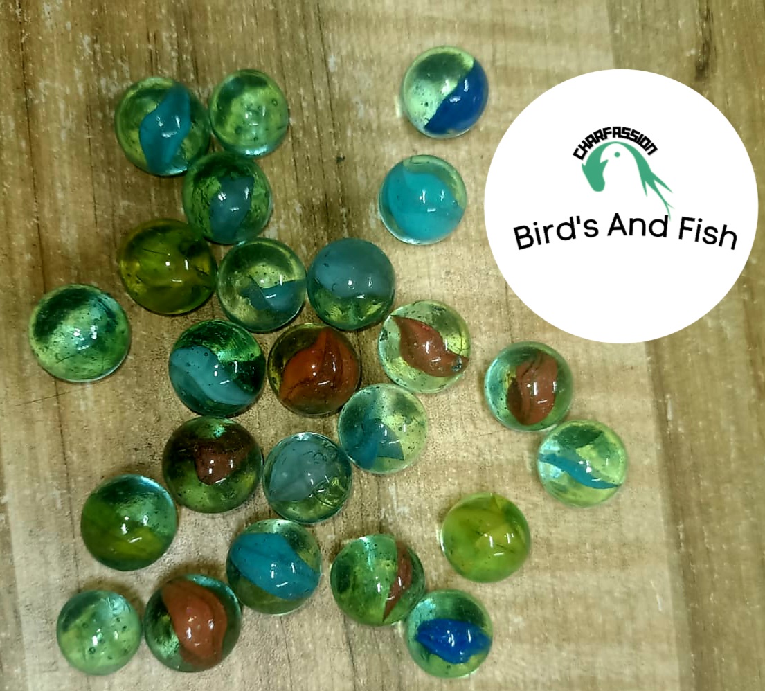 কাচের মারবেল পিস প্রতি_img_2