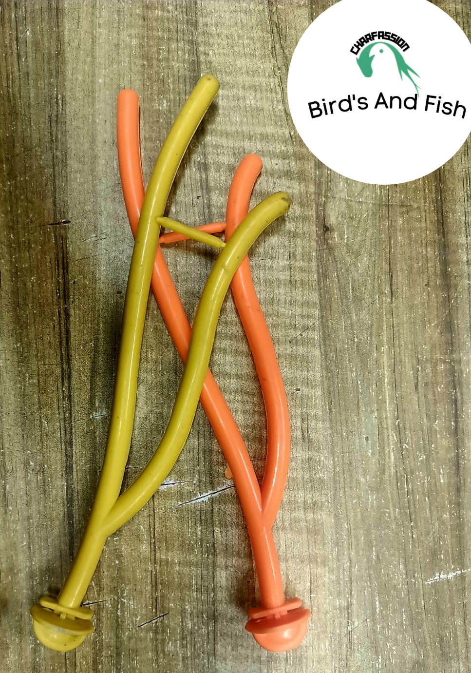 পাখি দাড়ানোর ঢাল প্লাস্টিকের_img_1