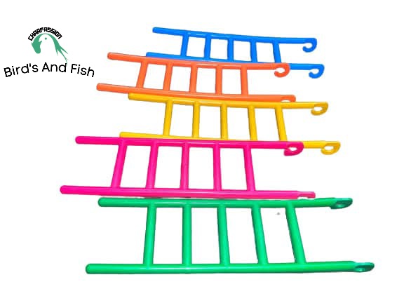 পাখি দাড়ানোর ঢাল প্লাস্টিকের_img_2