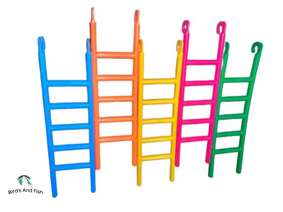 পাখি দাড়ানোর ঢাল প্লাস্টিকের_img_3