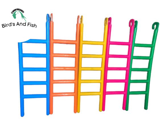 পাখি দাড়ানোর ঢাল প্লাস্টিকের_img_4