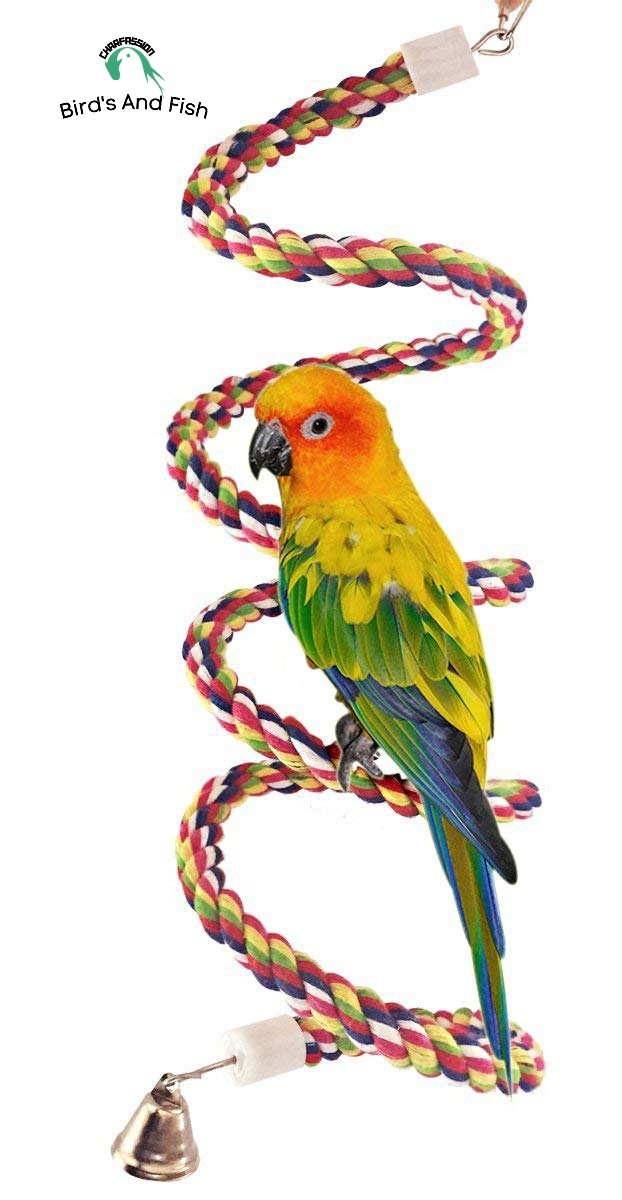 রশি দোলনা